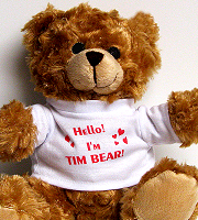 Teddy bear Tim