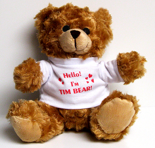 Teddy bear Tim