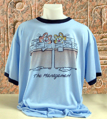 Vapor Ringer t-shirt sky and indigo
