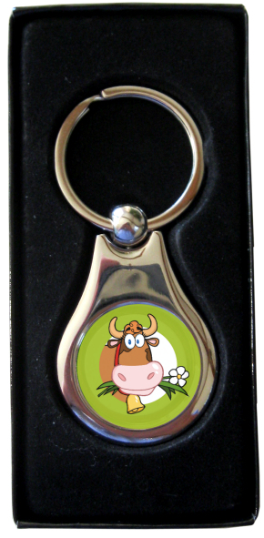 Keyring silver with presentation box (08)