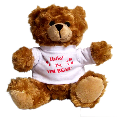 Teddy bear Tim