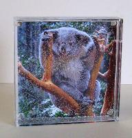 Square photo globe with fine silver glitter