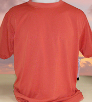 Vapor Apparel adult basic t-shirt in tera mesa