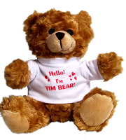 Teddy bear Tim