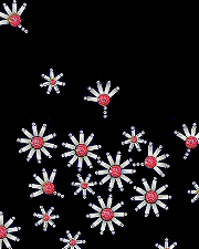 White and pink daisy rhinestud design (pack of 5)