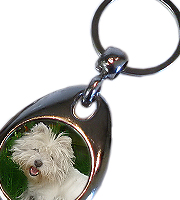 Keyring round silver 25 mm insert