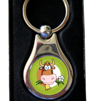 Keyring silver with presentation box (08)