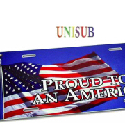 Unisub American style licence plate