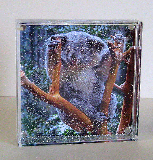 Square photo globe with fine silver glitter