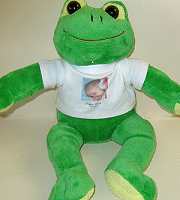 Soft toy frog